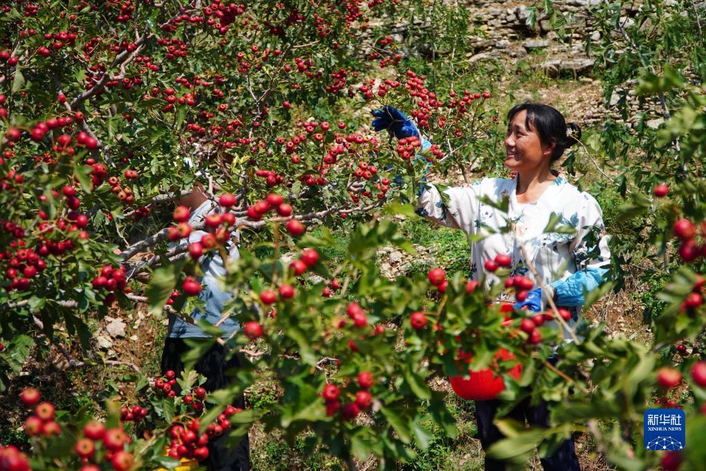 开户送38体验金不限id可提现